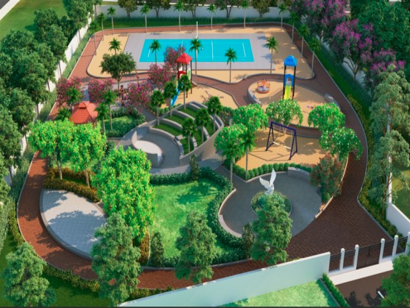 Urban Tree Amber County