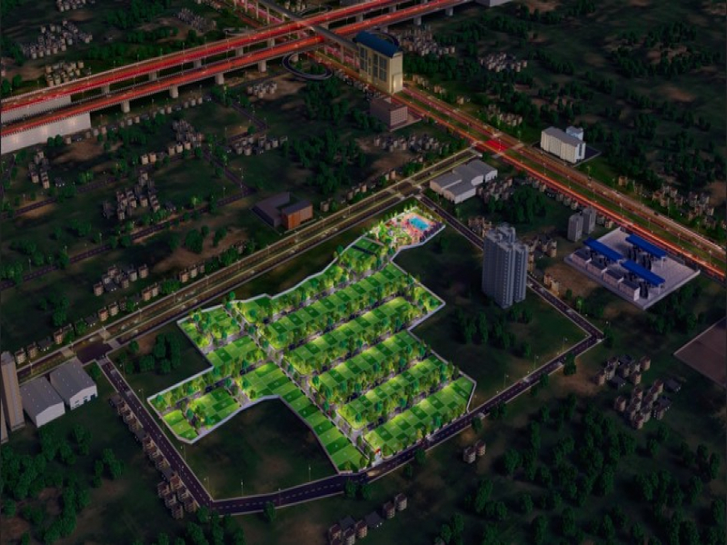 Urban Tree Amber County