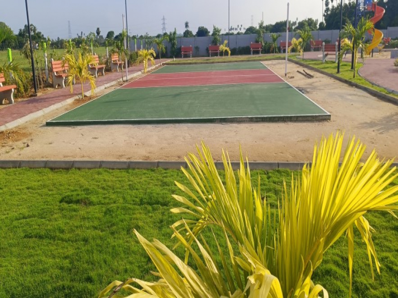 Urban Tree Amber County