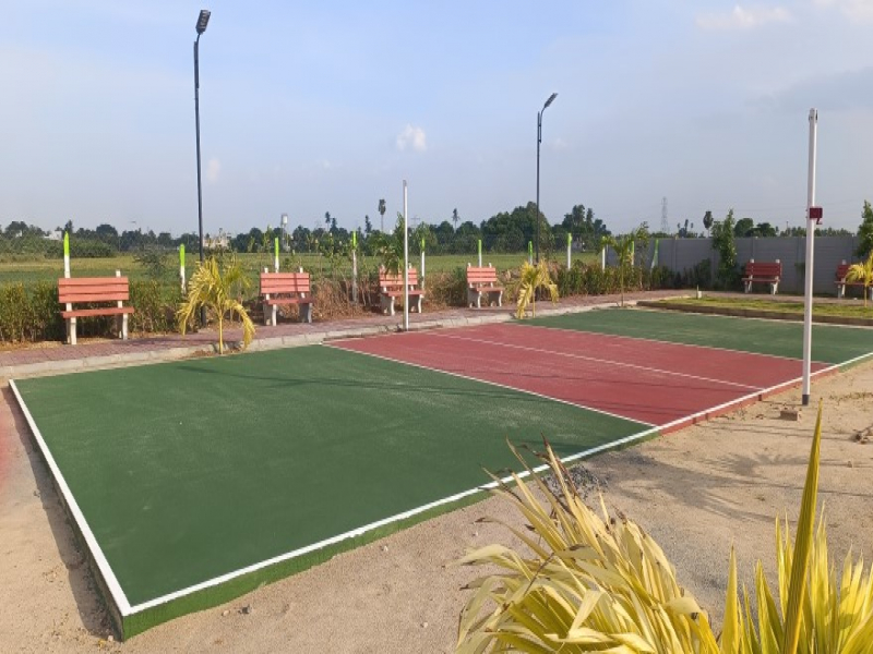 Urban Tree Amber County