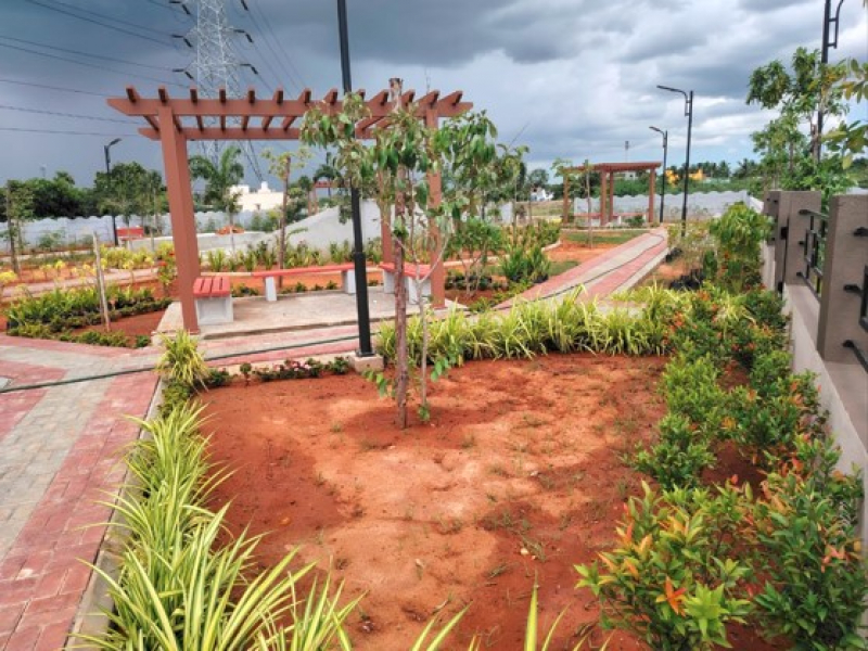 Urban Tree Sunstone Gardens