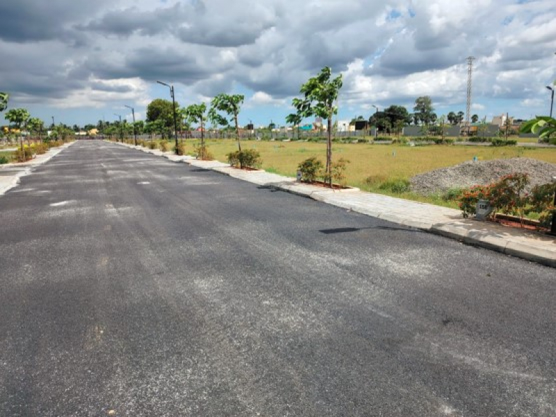 Urban Tree Sunstone Gardens