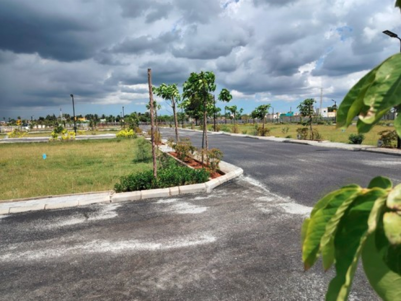 Urban Tree Sunstone Gardens