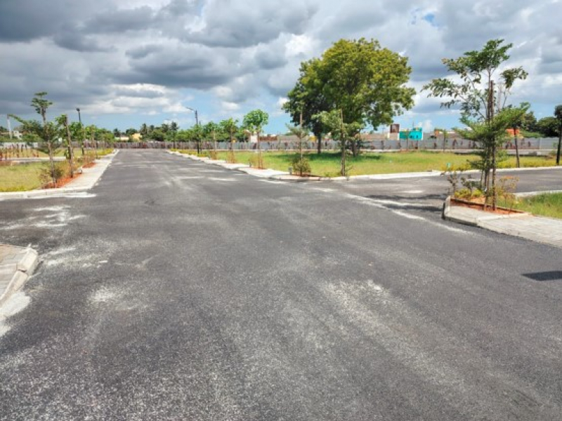 Urban Tree Sunstone Gardens