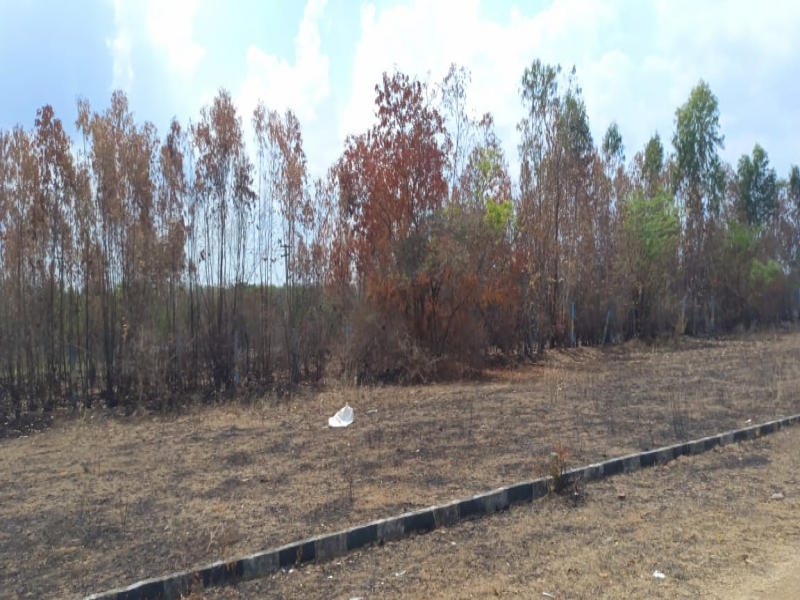 Niranjan Vetri Nagar