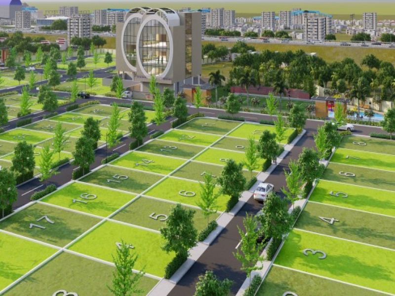 Urban Tree Diamond Kingdom