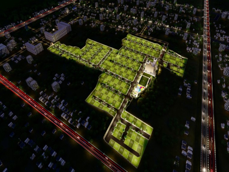 Urban Tree Diamond Kingdom