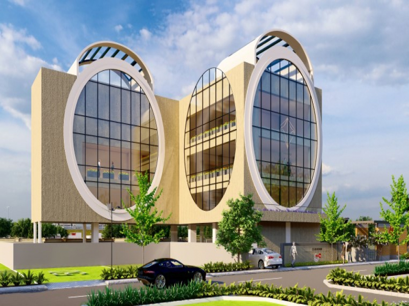 Urban Tree Diamond Kingdom