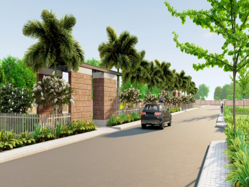 Urban Tree Diamond Kingdom