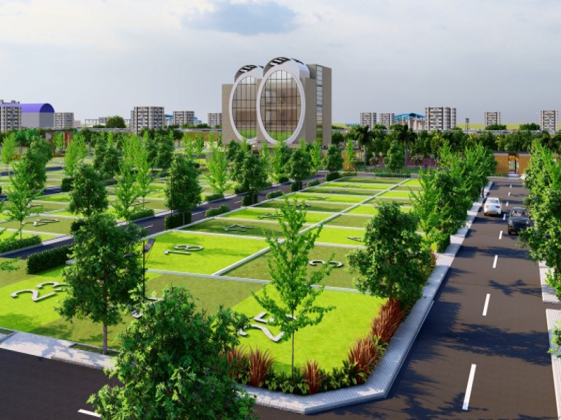 Urban Tree Diamond Kingdom