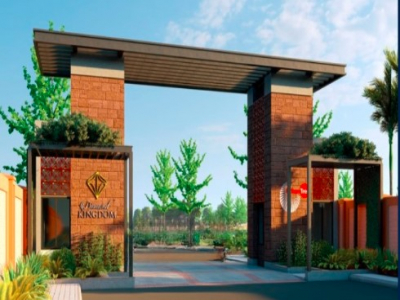 Urban Tree Diamond Kingdom