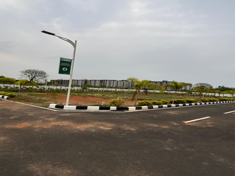 G Square Meadows