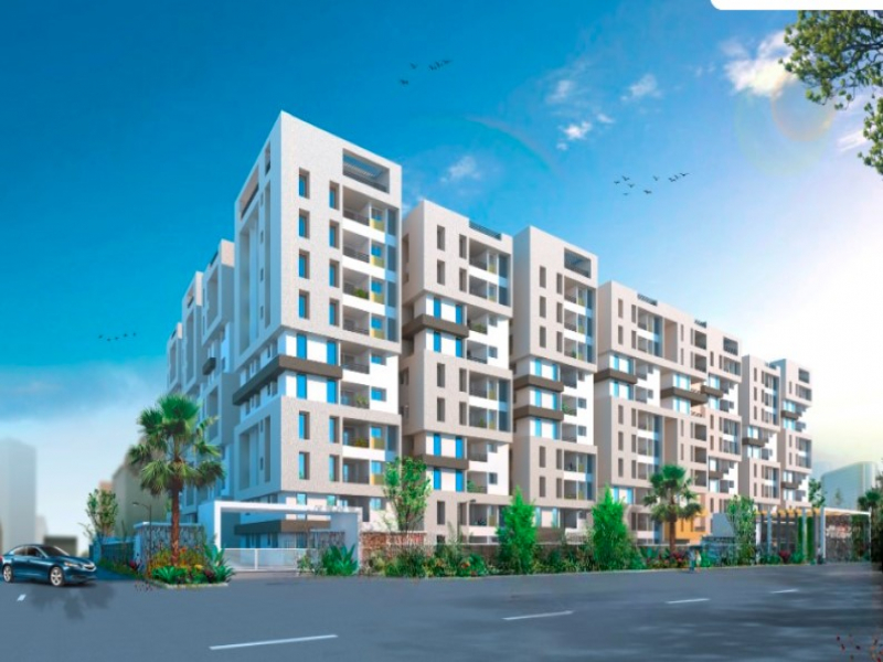 Modi Mayflower Platinum