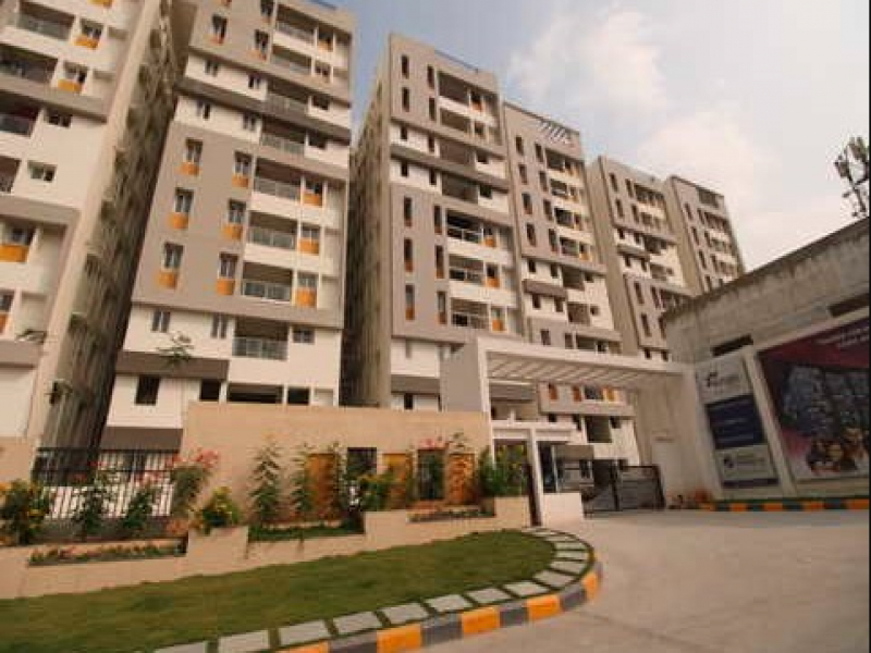 Modi Mayflower Platinum