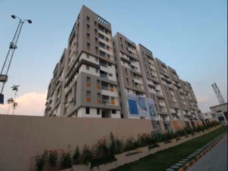 Modi Mayflower Platinum