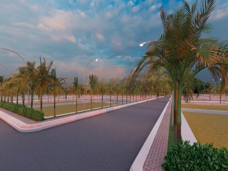 Sunrise Nature Amodha