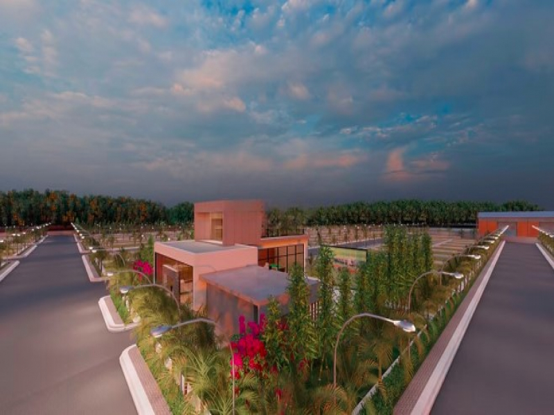 Sunrise Nature Amodha