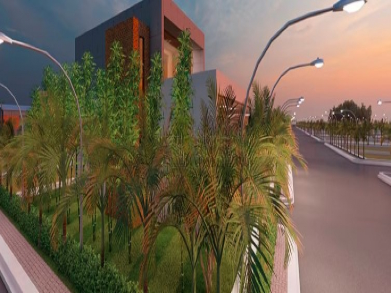 Sunrise Nature Amodha