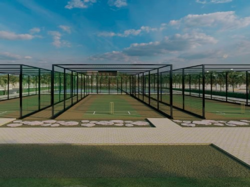 Sunrise Nature Amodha