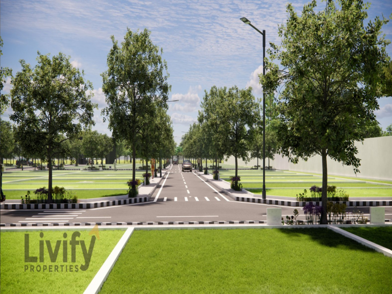 Livify Tidel Highway