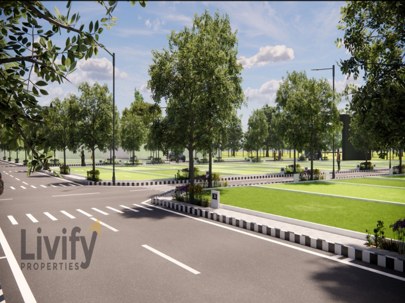 Livify Tidel Highway
