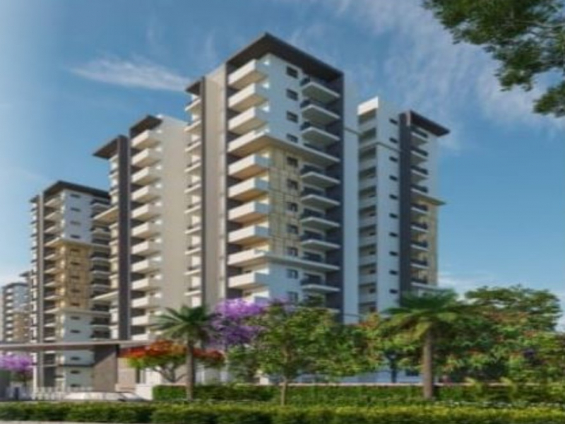 Halimark hamton pinnacle