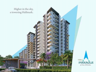Halimark hamton pinnacle