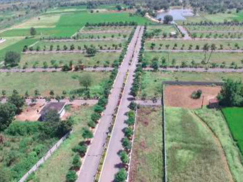 Green City Western County