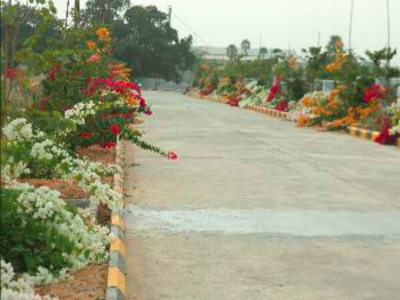 Green City Western County