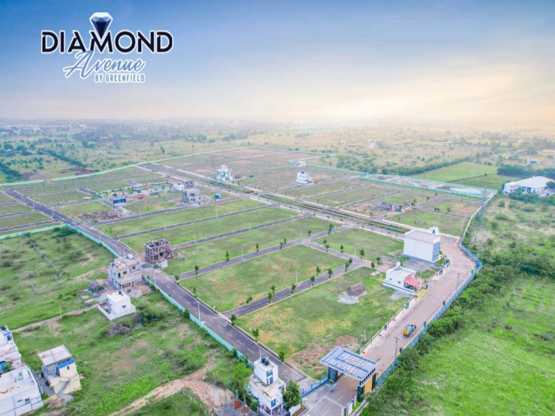 Green Field Diamond Avenue
