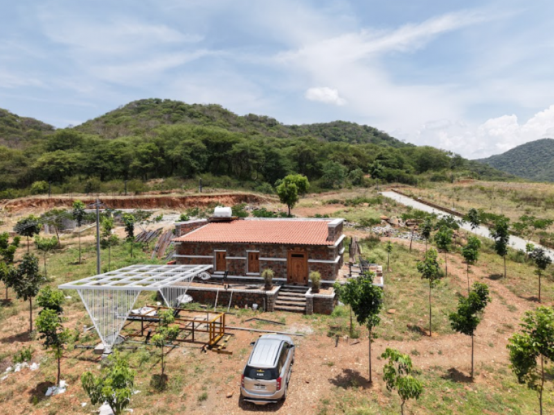 Safari Farms