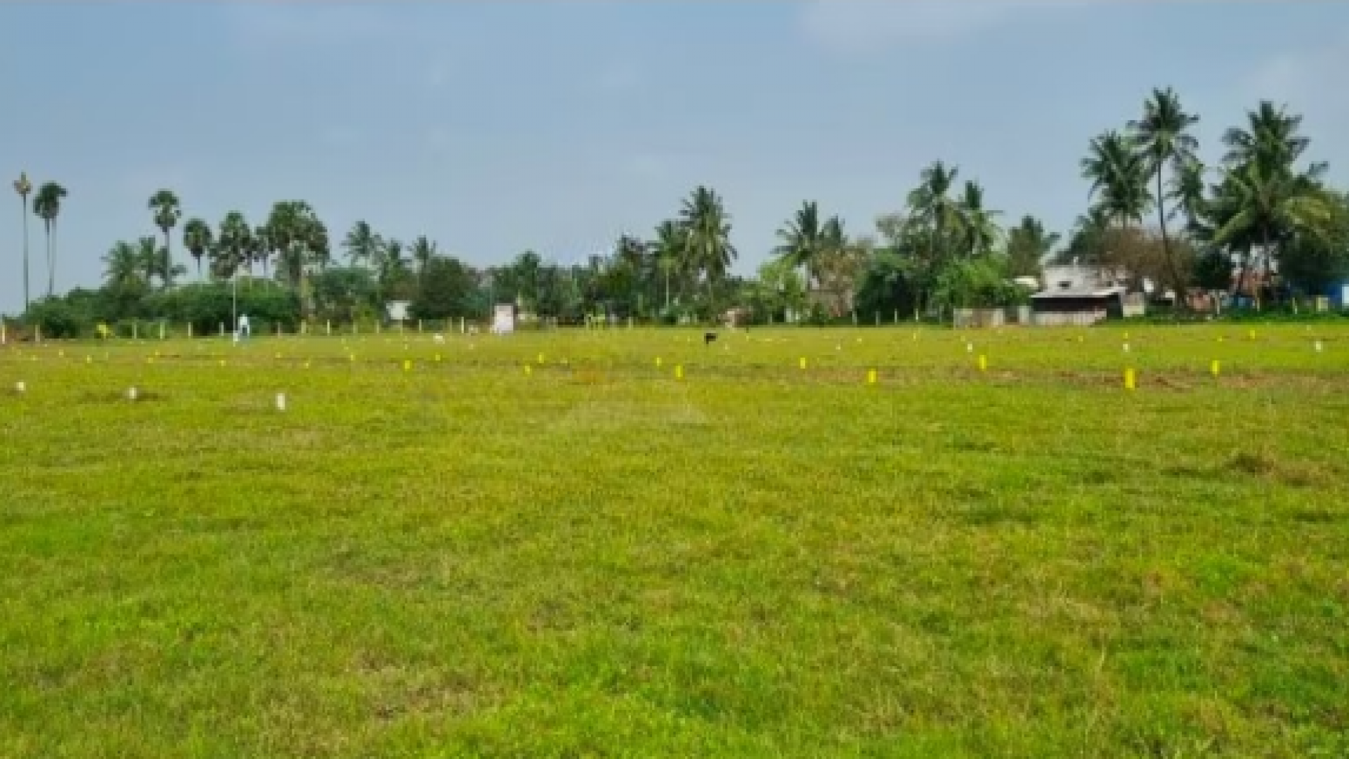 Semmozhi Tamil Nagar