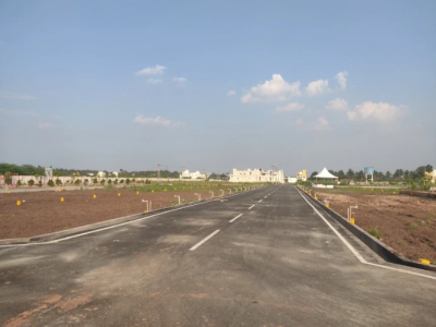 TVH Avanta