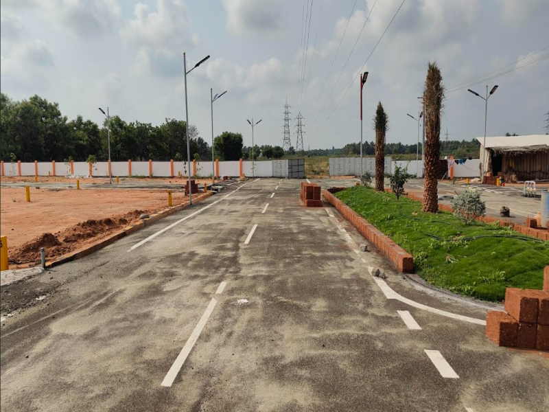Aurraa Avenue