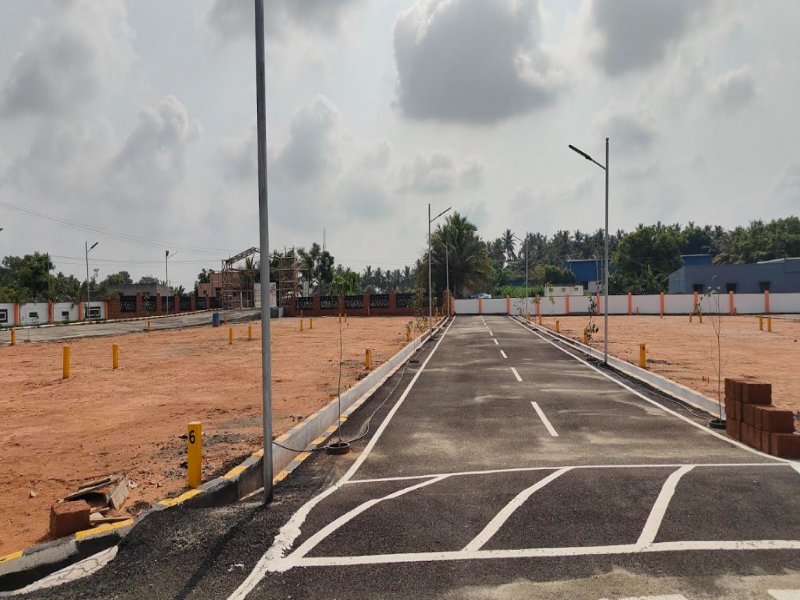 Aurraa Avenue