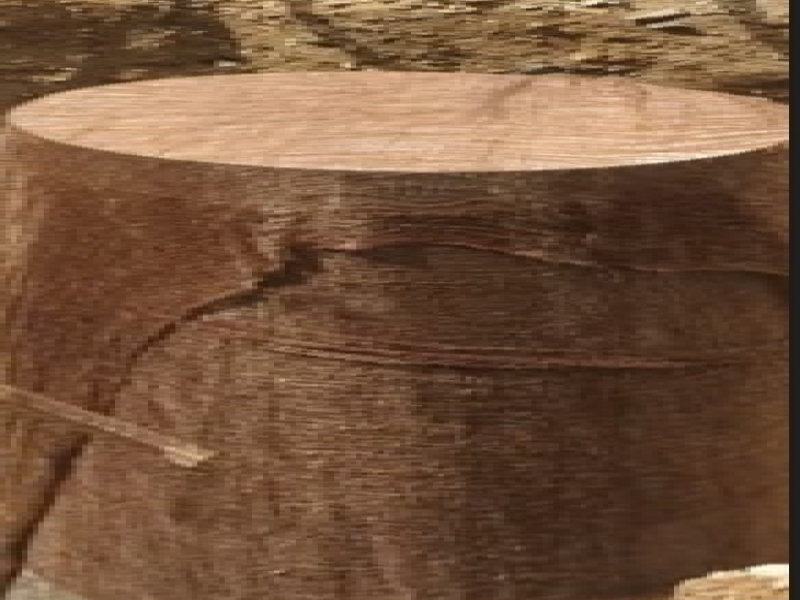 KG 5D