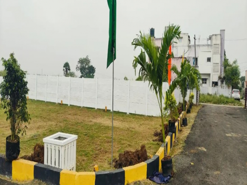 Bavani Breeze