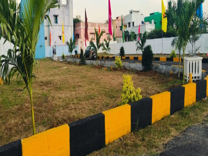 Bavani Breeze