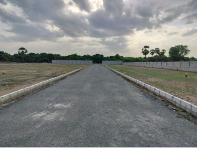 Plots for sale in DVN Pappammal Garden, Mambakkam