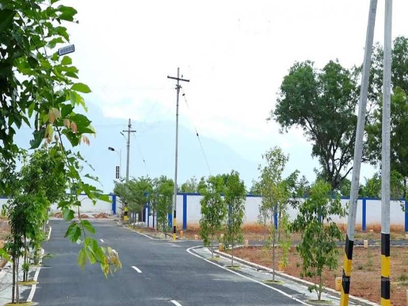 Sri Vishaka Garden