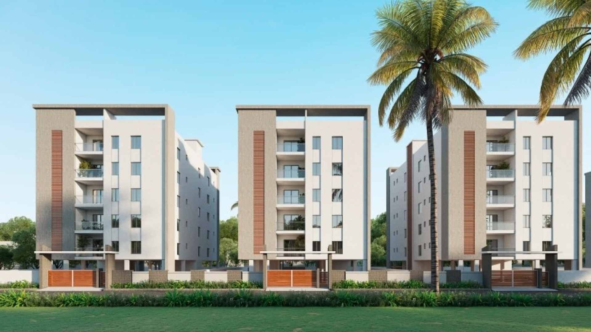 Legalas Doyen Ascent Condor