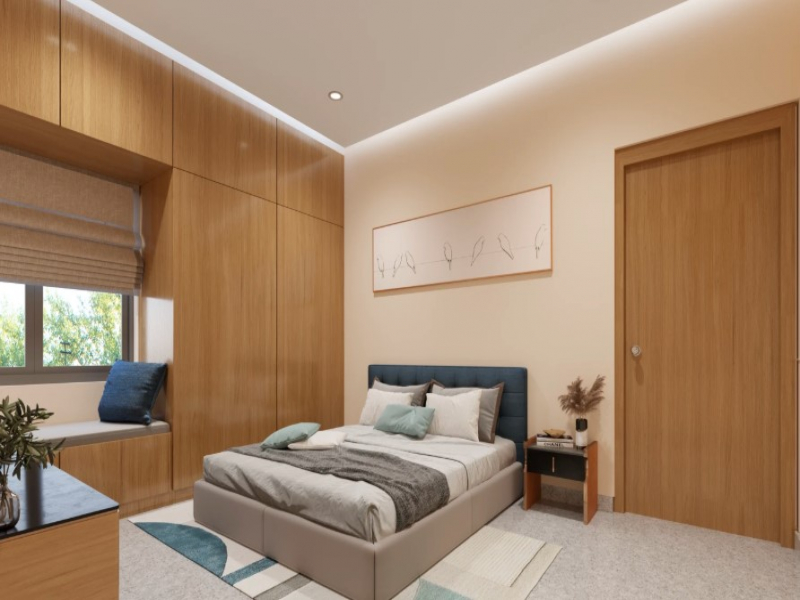 Legalas Doyen Ascent Condor