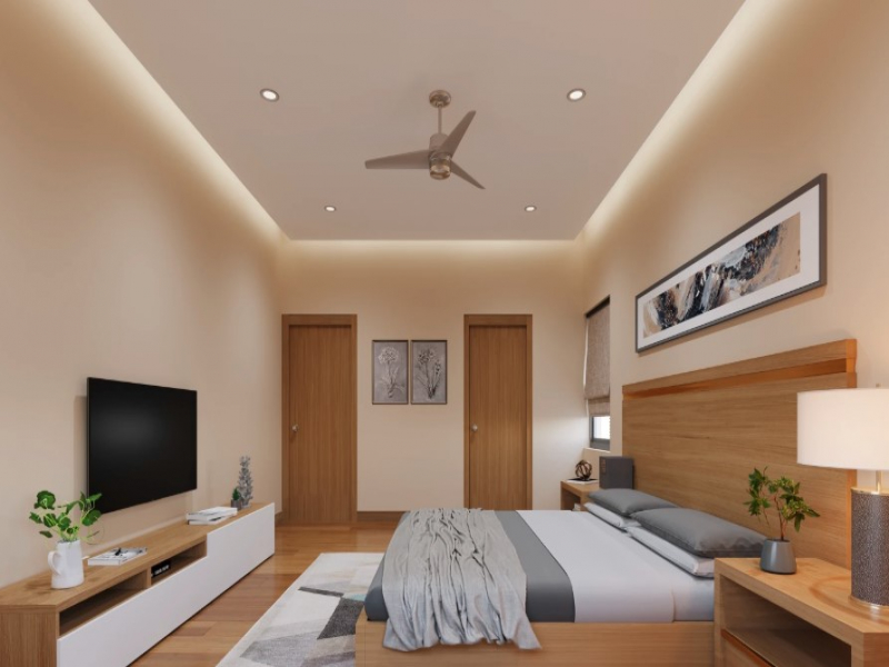 Legalas Doyen Ascent Condor