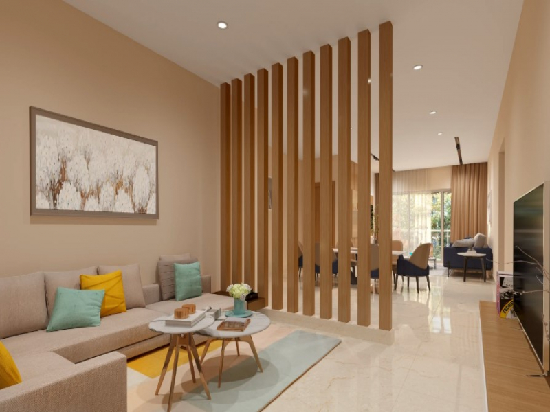 Legalas Doyen Ascent Condor