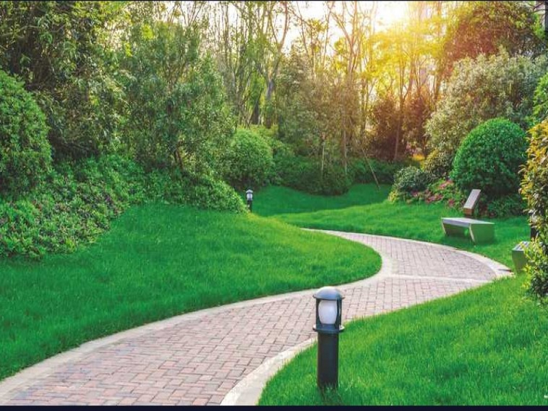 Arvind The Park