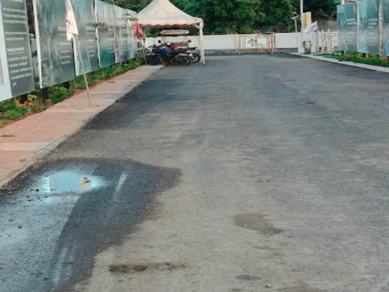 VGN Heritage Springz