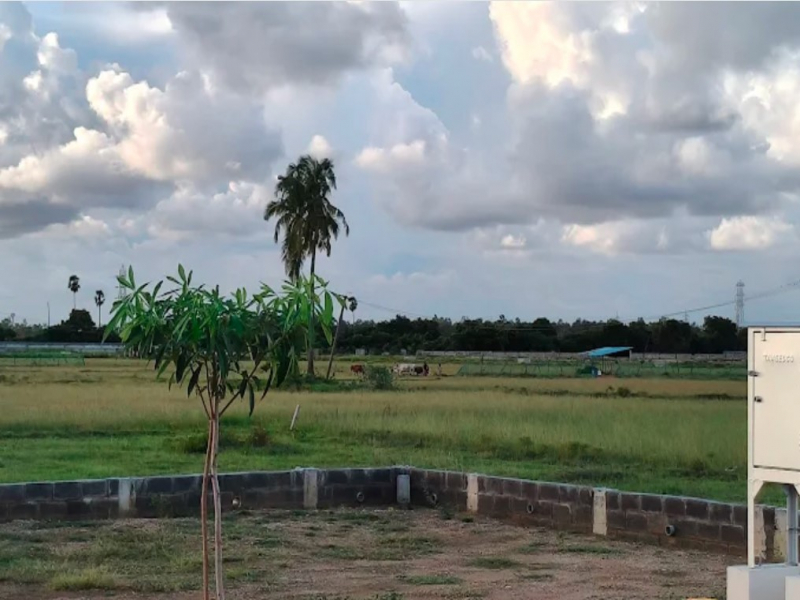 VGN Heritage Springz