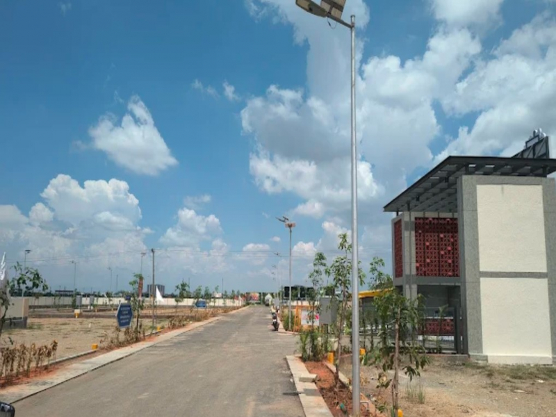 VGN Heritage Springz