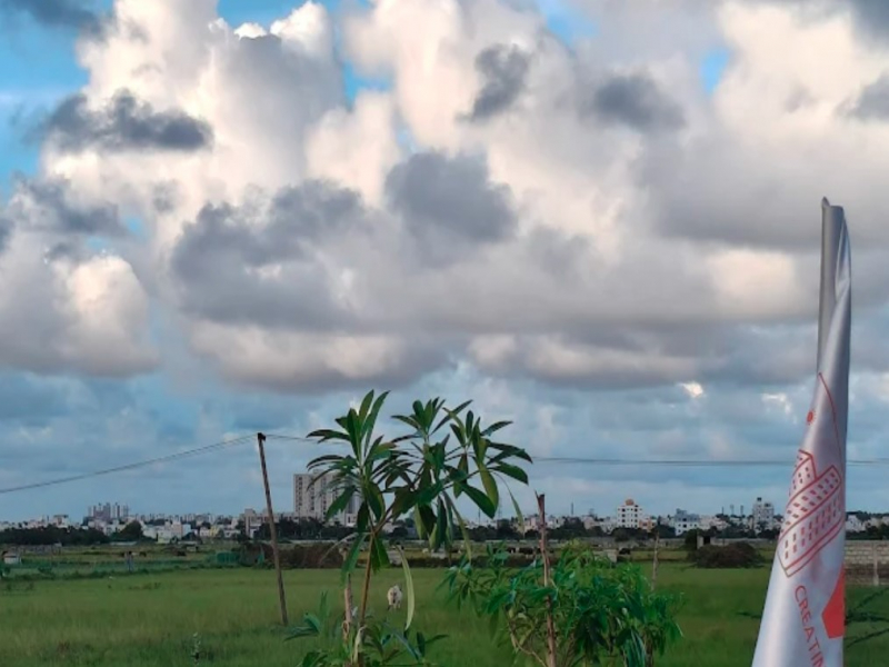 VGN Heritage Springz