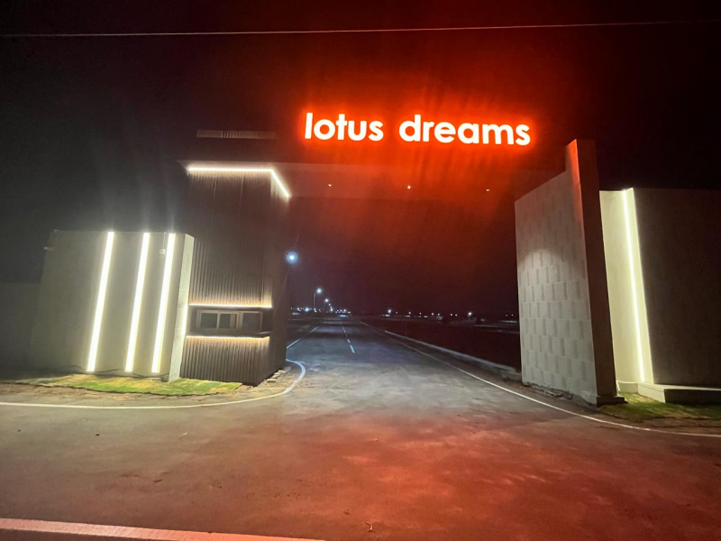 Lotus Dreams